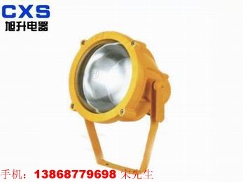 供应防爆投光灯 矿用灯 工作灯 防爆灯